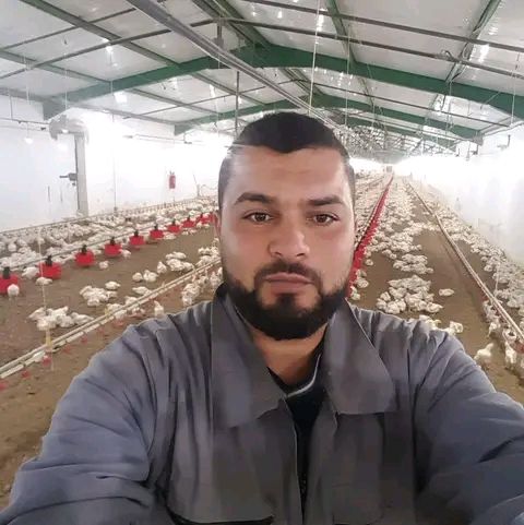 Ibrahim5088